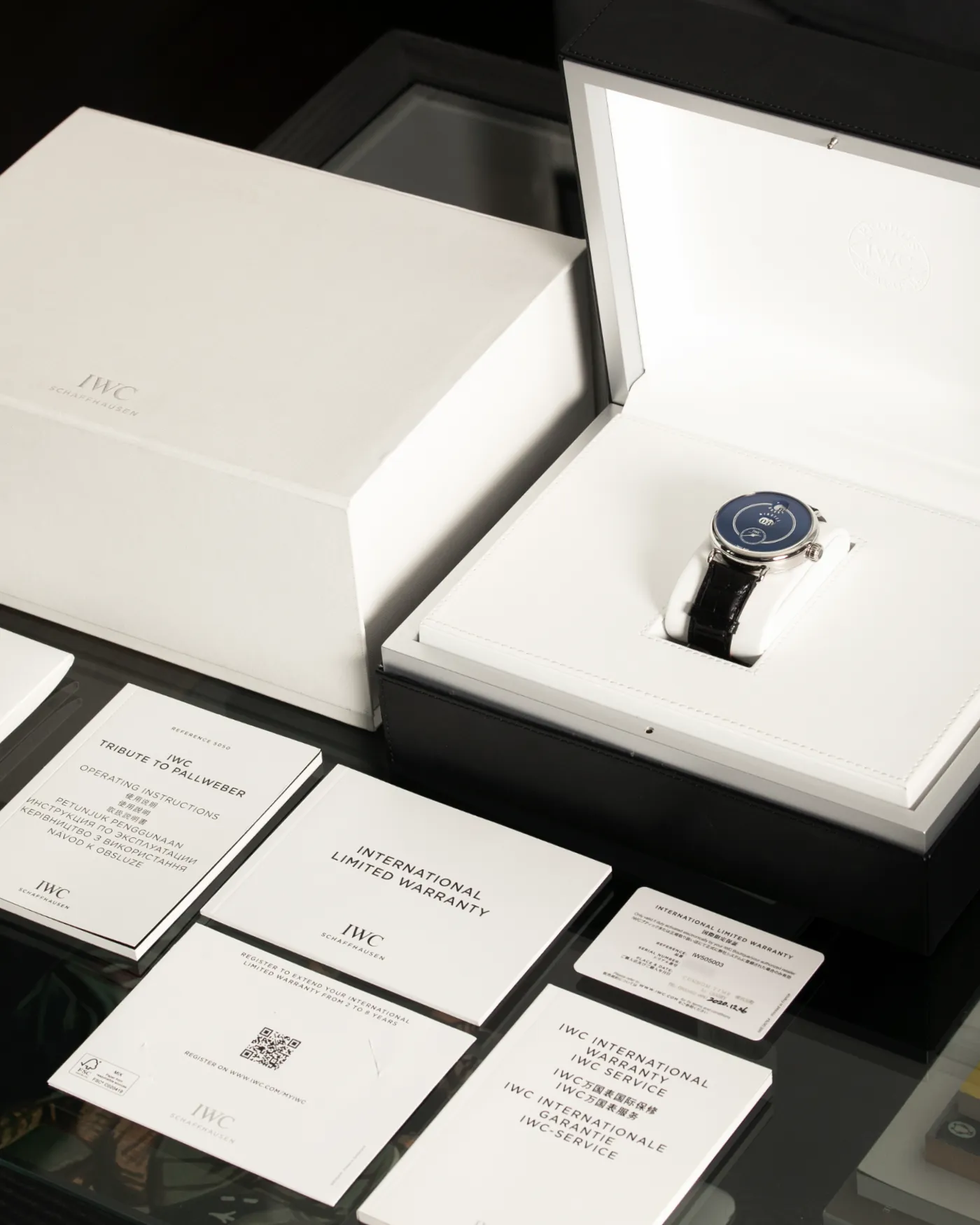 IWC Tribute to Pallweber 150 Years