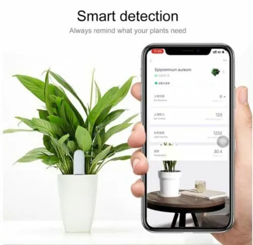 Plant Soil Monitor